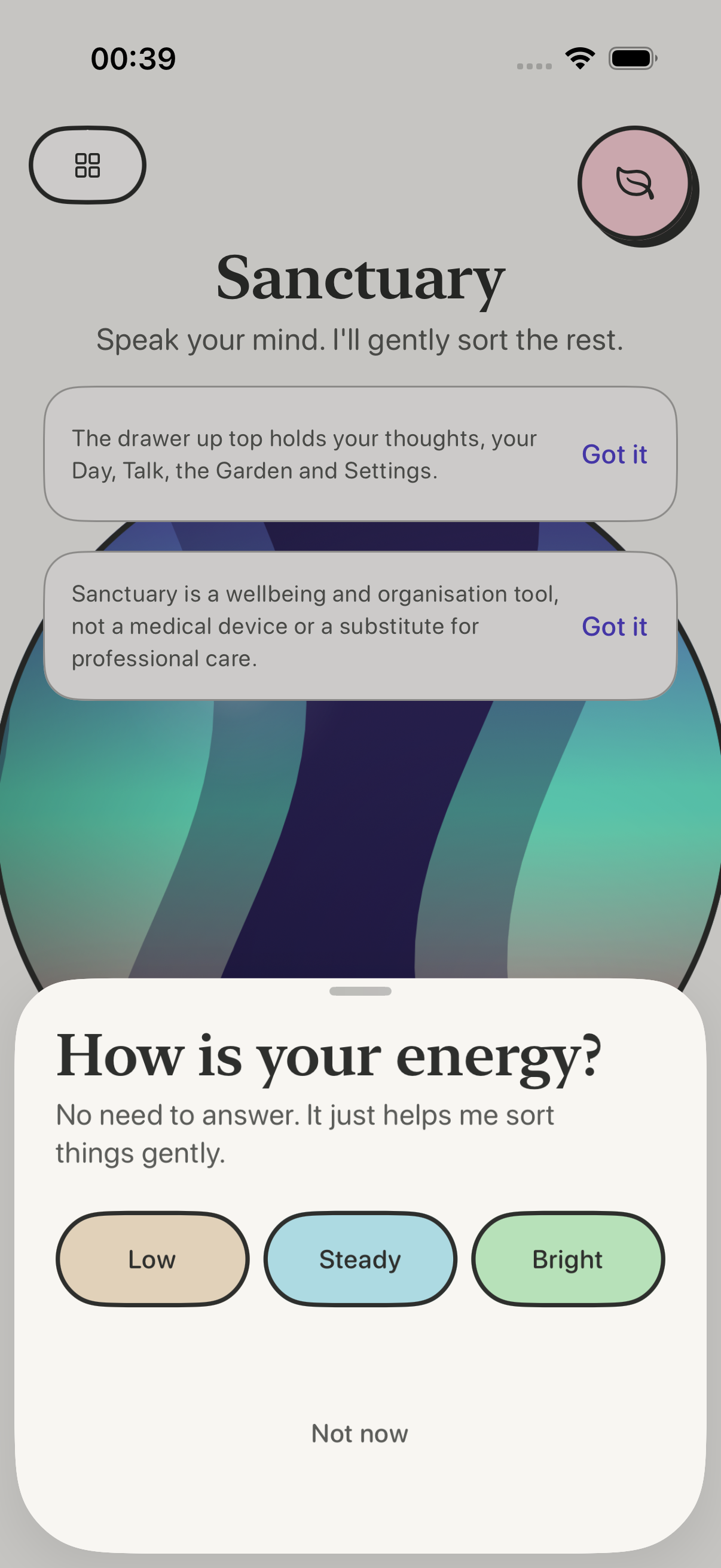 The Sanctuary home screen, with a calm title, an aurora orb and a gentle energy check